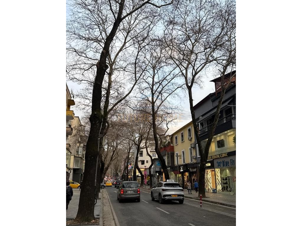 Shitet, Godine Biznesi Myslym Shyri, Tirane 2